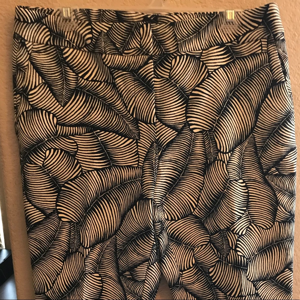 Ann Taylor Factory Cropped Pants 8 Curvy